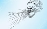 Внимание: в регионе поднимется сильный ветер порывами до 17 м/с