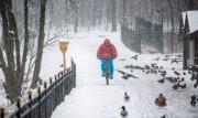 8 декабря туляков вновь ждет сильный снегопад