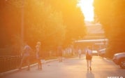 Погода в Тульской области 9 июля: до +32 градусов и облачно