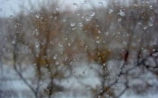 Погода в Тульской области 31 января: до +1, умеренный ветер и низкое давление