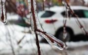 Погода в Туле 14 декабря: сильные осадки и ветер