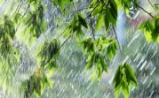 Погода в Тульской области 26 мая: сильный дождь с грозой, до +25