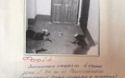 Задержали через 25 лет: волгоградский убийца подрабатывал в Туле таксистом