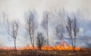 Особый противопожарный режим в Тульской области: штрафы для нарушителей выросли вдвое