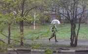 Погода в Туле 9 июня: дождь с грозой и до +27