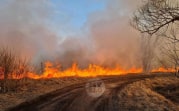 В Тульской области с 1 апреля стартует пожароопасный сезон