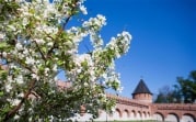 Погода в Туле 26 мая: облачно, тепло, утром местами туман