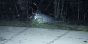 Под Алексином автоледи на иномарке улетела в кювет и перевернулась
