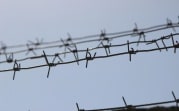 Житель Узловой заказал наркотики в Италии для сбыта в России