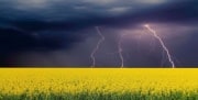 Очередное метеопредупреждение объявлено в Тульской области