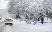 Погода в Туле 21 декабря: мокрый снег и оттепель