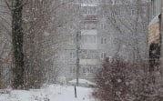 Погода в Туле 7 февраля: мокрый снег и сильный ветер