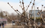 Погода в Тульской области 30 апреля: прохладно, сухо, умеренный ветер
