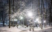 Метеопредупреждение: на Тульскую область надвигается сильный снегопад