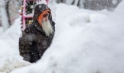 Какими будут осень и зима в Тульской области