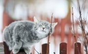 Погода в Тульской области 28 марта: тепло и сухо
