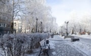 В Тульской области выпадет до 6 сантиметров снега