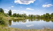 Выходные и не только: какая погода ждет туляков в ближайшие 3 дня