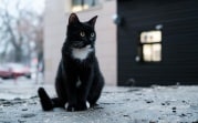 Погода в Туле 4 марта: небольшой снег и оттепель
