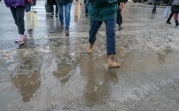 Погода в регионе 26 января: скользко, ветрено и слякотно