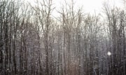 На сколько в Тульской области задержится аномальный холод