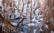 Погода в Туле 19 ноября: мороз и лёгкий ветер