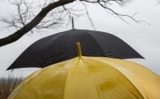 Погода в Туле 21 апреля: дождливо, ветрено и до +13
