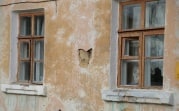 Ветхие дома предложили ремонтировать за счет взносов граждан