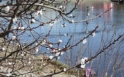 Погода в Тульской области 17 марта: облачно, без осадков, до +8 градусов