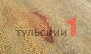 На тюбингах катались трое: подробности смерти ребенка под Плавском