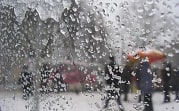 Погода в Тульской области 22 января: до +5 градусов, мокро и ветрено