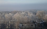 Погода в Туле 29 февраля: до +4 градусов и без осадков