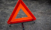 В Тульской области в 2 раза чаще стали происходить ДТП с дикими животными