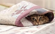 Погода в Тульской области 10 марта: низкое давление и сильный ветер