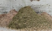 В Тульской области подвели итоги акции «Сдай елку на переработку»