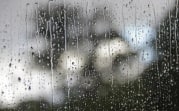 Погода в Тульской области 17 апреля: облачно, мокро и ветрено