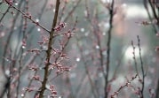 Погода в регионе 8 апреля: мокро, ветрено и прохладно