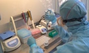 Второй день подряд в Тульской области фиксируют меньше 100 заболевших коронавирусом