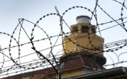 В Донском мужчина забил до смерти свою сожительницу и вырезал её органы