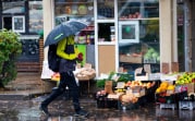 В Тульской области средняя температура ноября на 2 градуса превысила норму