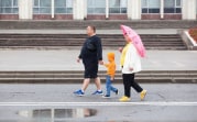 Погода в Туле 6 сентября: прохладно и ветрено