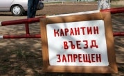 В Тульской области два населенных пункта закрыли на карантин из-за африканской чумы
