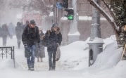 Погода в Тульской области 12 февраля: метели, снежные заносы и ветер