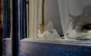 Погода в Тульской области 15 ноября: ветрено, без осадков, до +7 градусов