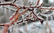 Погода в Тульской области 13 января: южный ветер и -13 градусов 