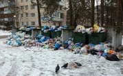 В Тульской области до 1 июля заменят все мусорные контейнеры