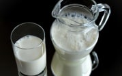 Туляков предупредили о фантомных заводах по изготовлению молочки