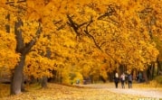 Южные циклоны принесут в Тулу тепло