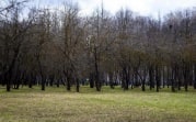 В Центральной России приход настоящего весеннего тепла снова откладывается