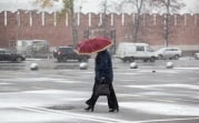 Погода в Туле 11 января: ветрено, небольшой снег